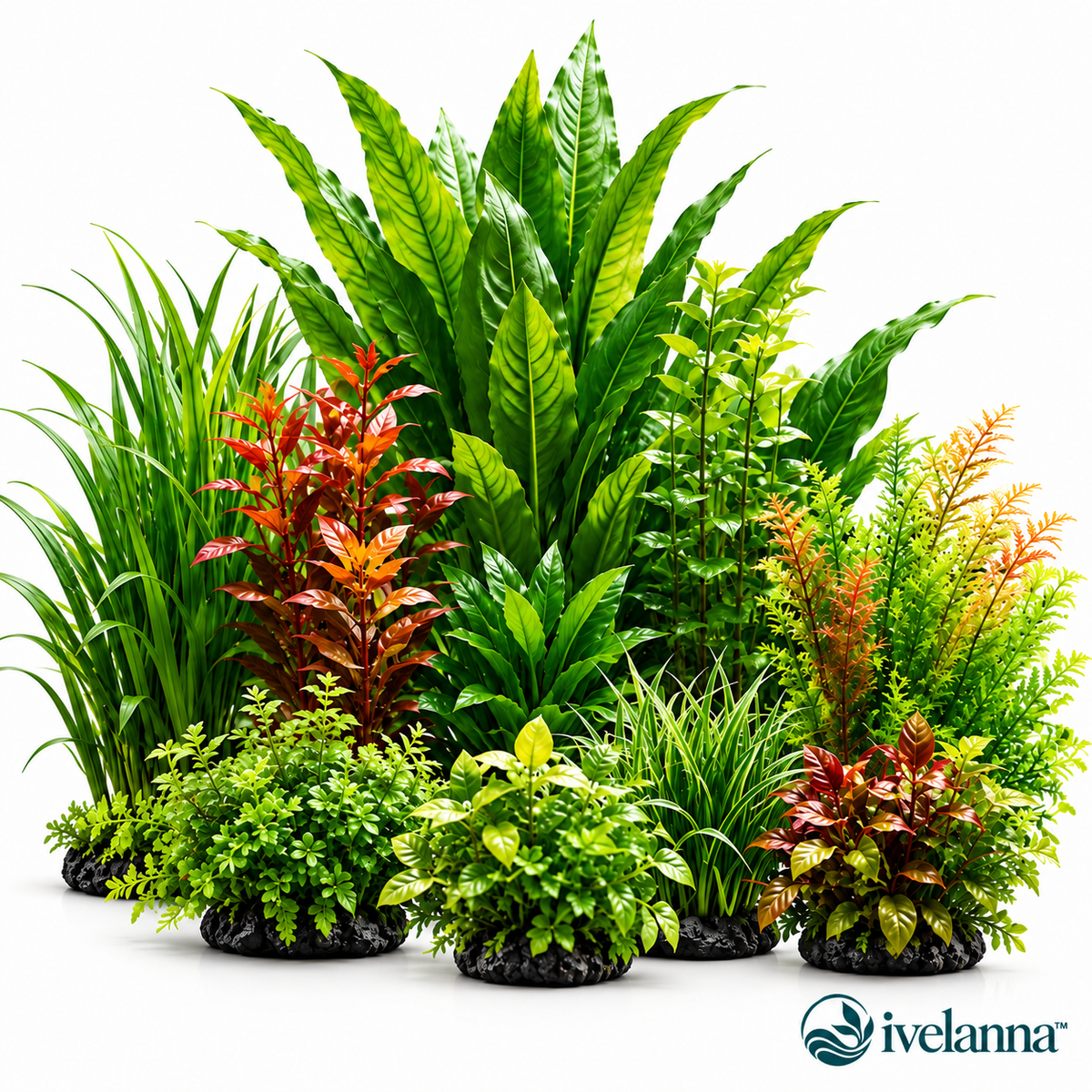 ivelanna Realistic Aquatic Plant Set view 1